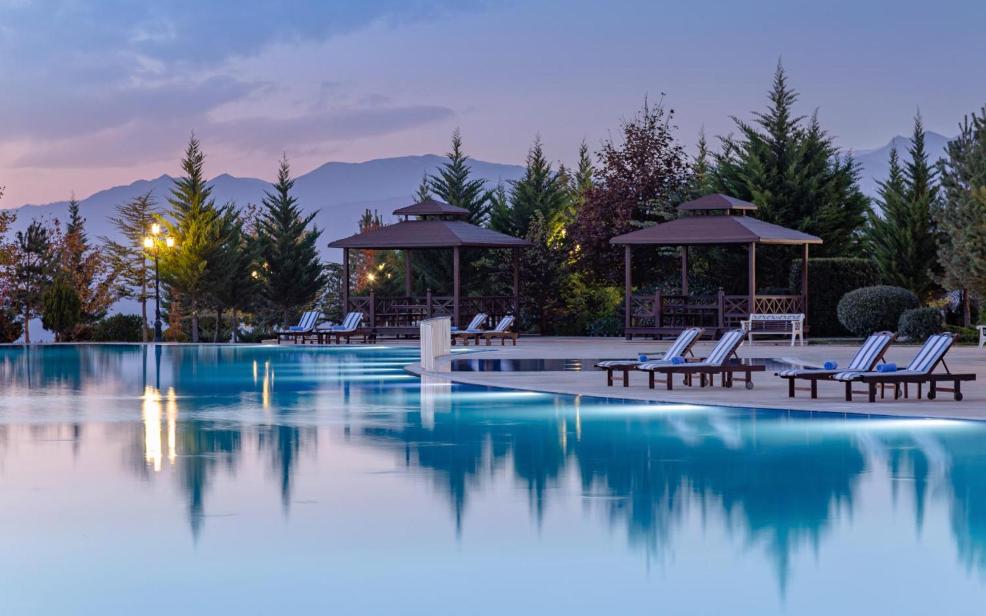 Shamakhi Palace Sharadil Seredil Exterior photo The swimming pool at the hotel