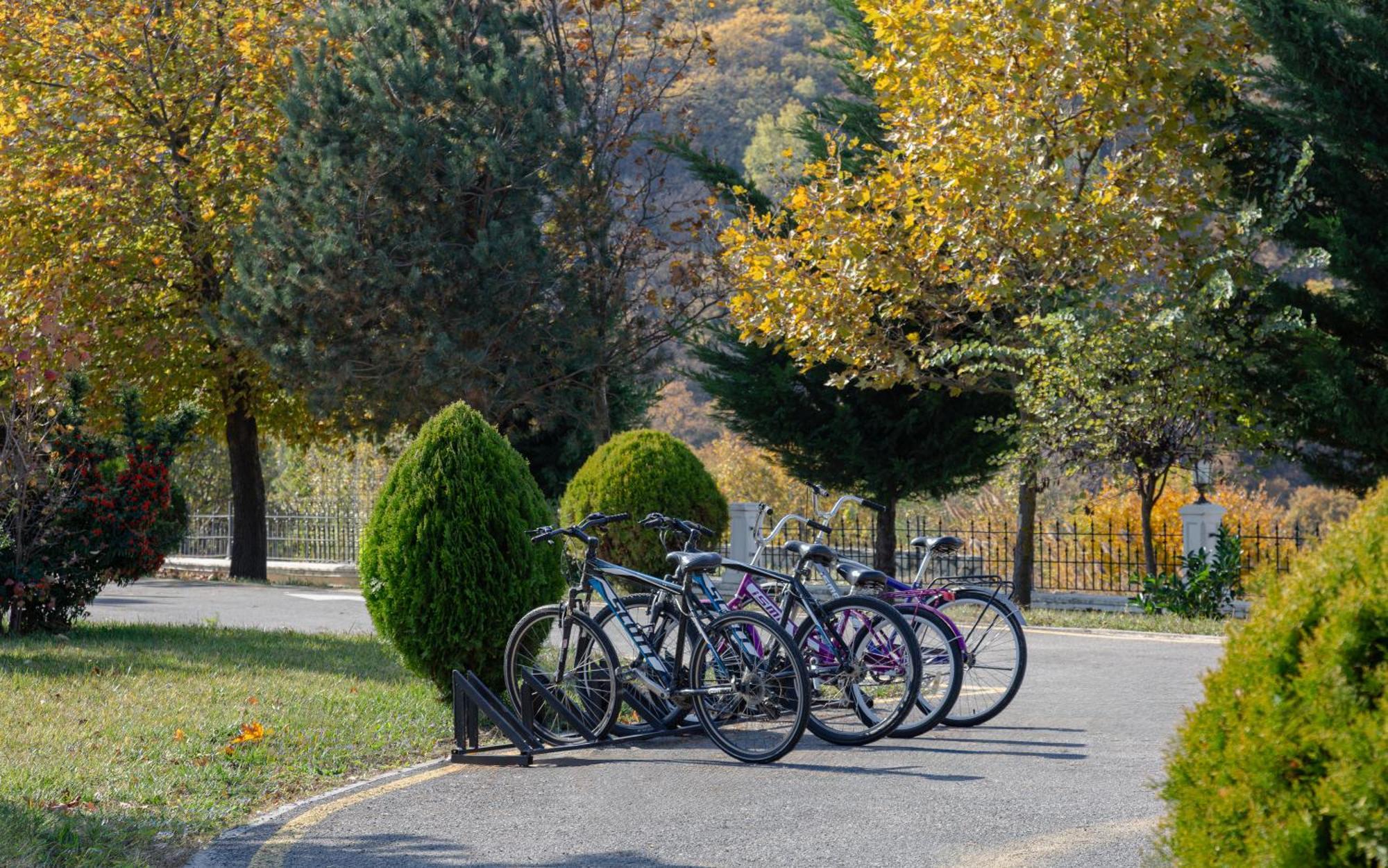 Shamakhi Palace Sharadil Seredil Exterior photo Bicycles parked at the entrance of the park